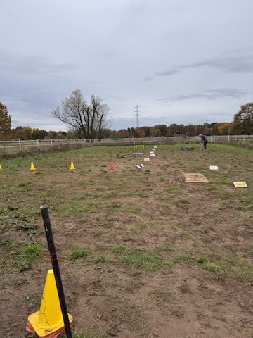 Training – Parcours mit Hindernissen auf der Wiese