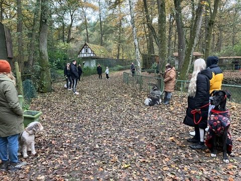 Training – Gruppe auf einem herbstlichen Weg im Wildpark