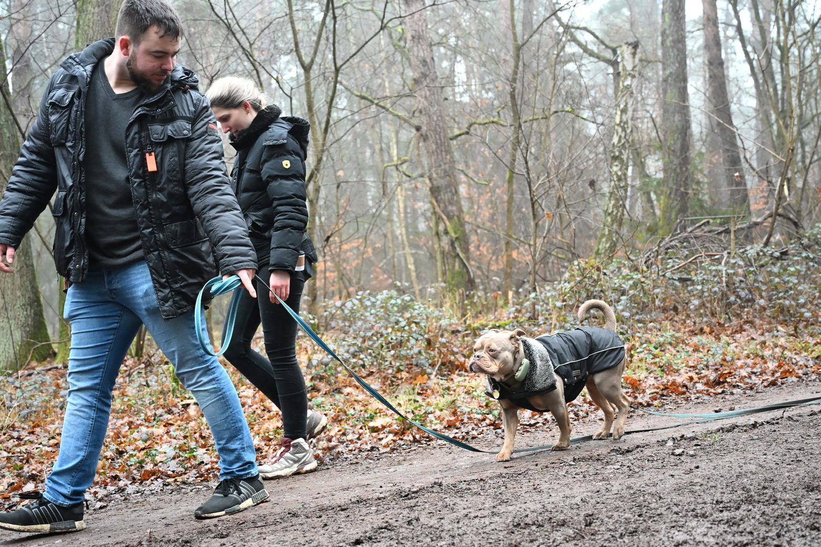 Training – Hund an lockerer Leine im Wald