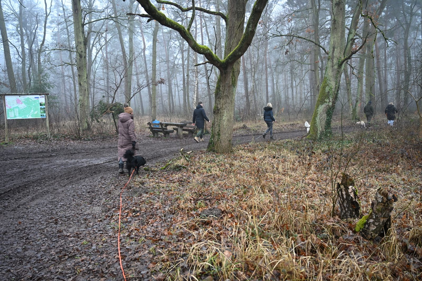 Training – Gruppe im nebligen Wald