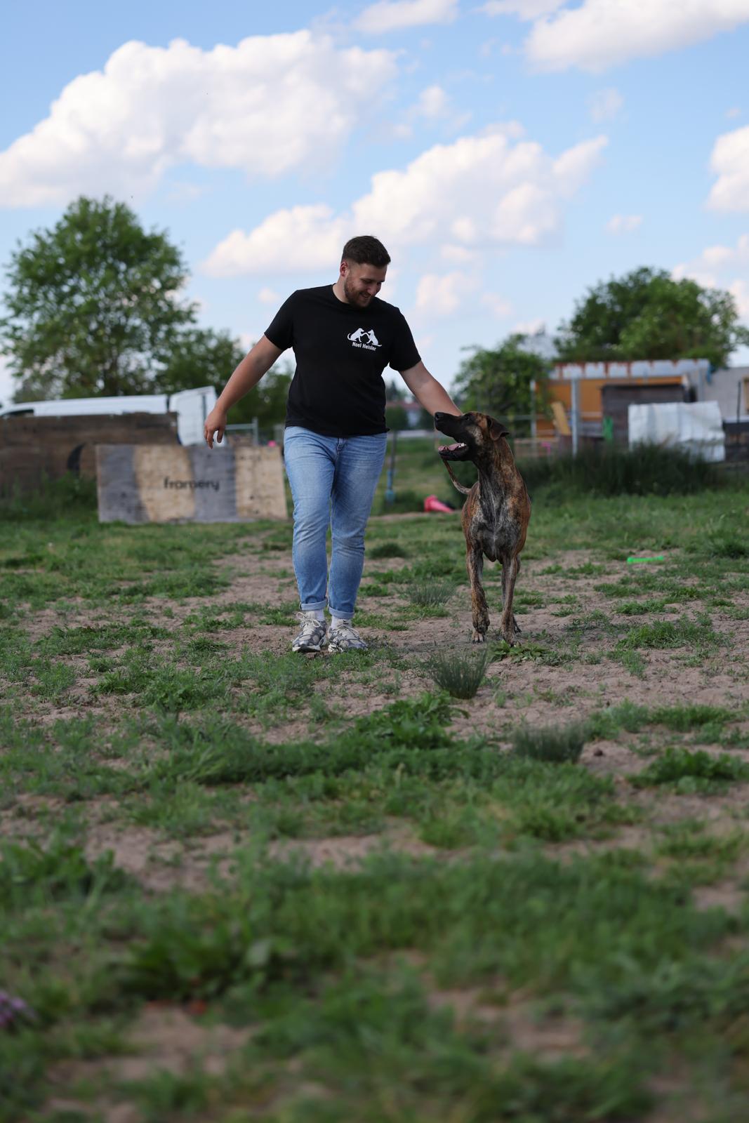 Noel Heisler mit einem der Hunde