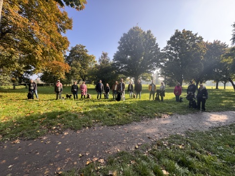 Social Walk – Gruppe mit Hunden auf einer herbstlichen Wiese