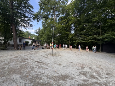 Social Walk – Gruppe auf einem Platz im Wald