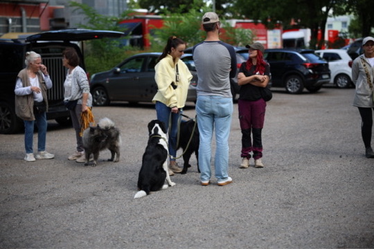 Social Walk – Teilnehmer mit Hunden vor dem Start