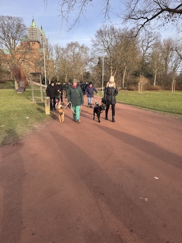 Social Walk – Gruppe mit Hunden auf einem Weg im Park